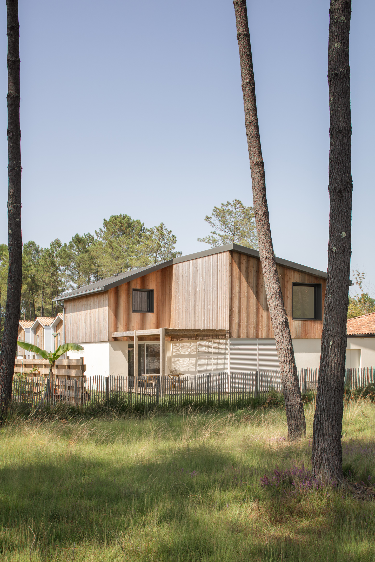 Ligne Architecture – 210037 — photographie 2