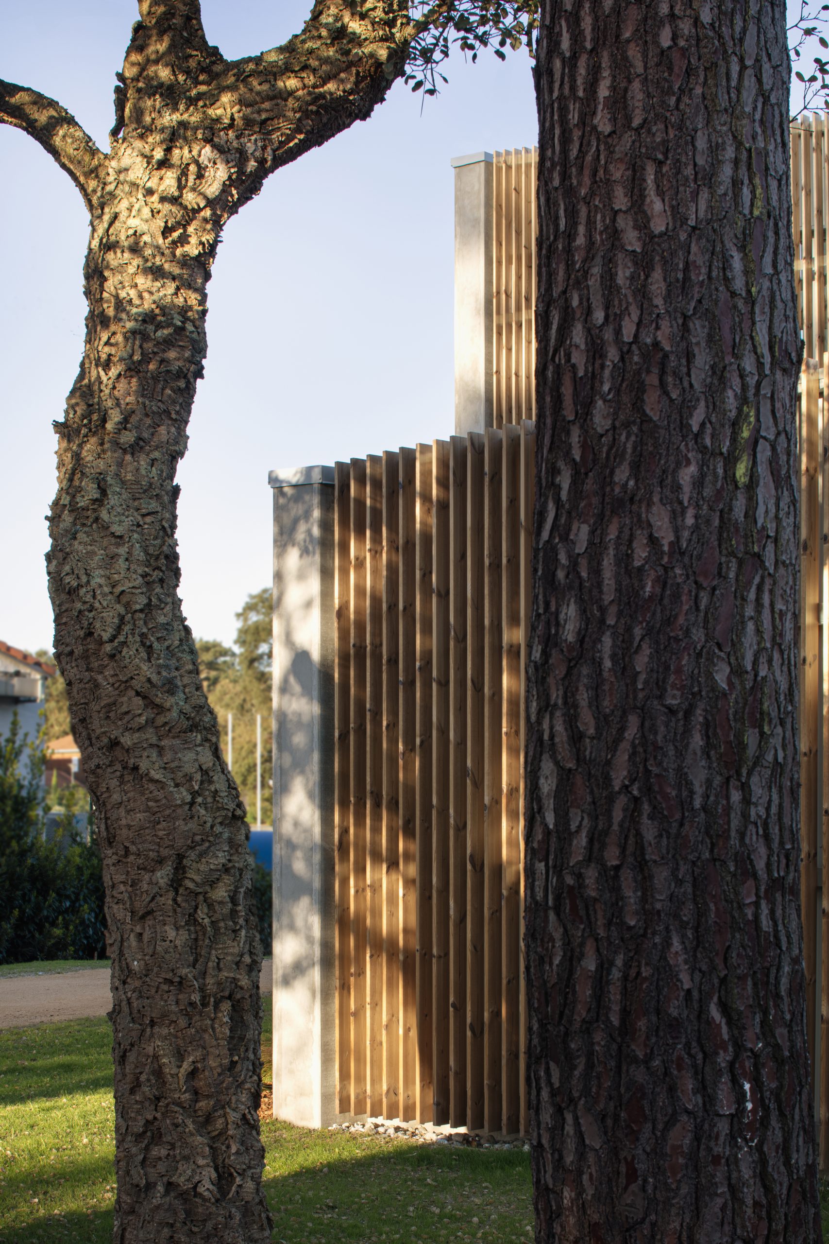 Ligne Architecture – Pôle Haute Performance – 220077 — photographie 13