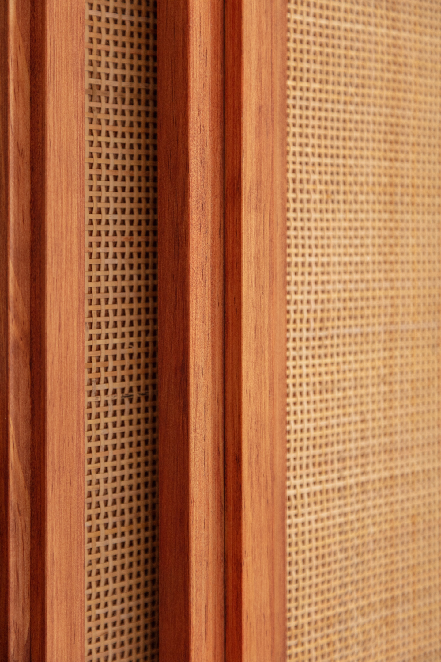 Studio Lougat – Louis Pasteur — photographie 19