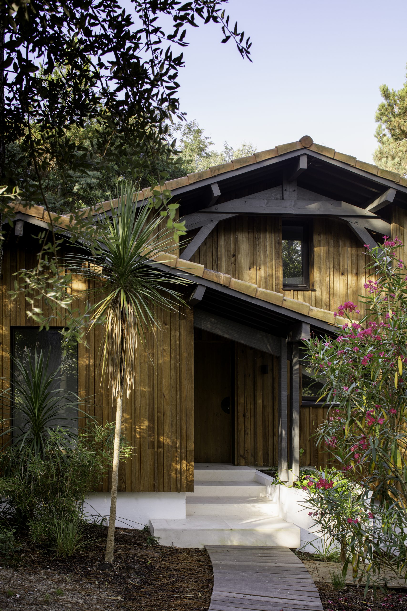 Plandho Cohen 26 scaled