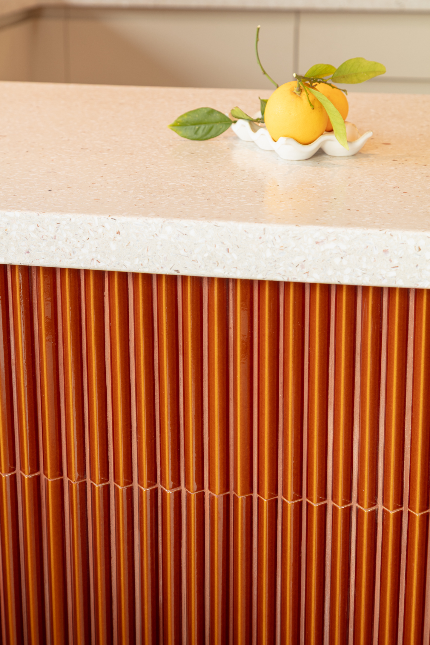 Studio Lougat Louis pasteur 26