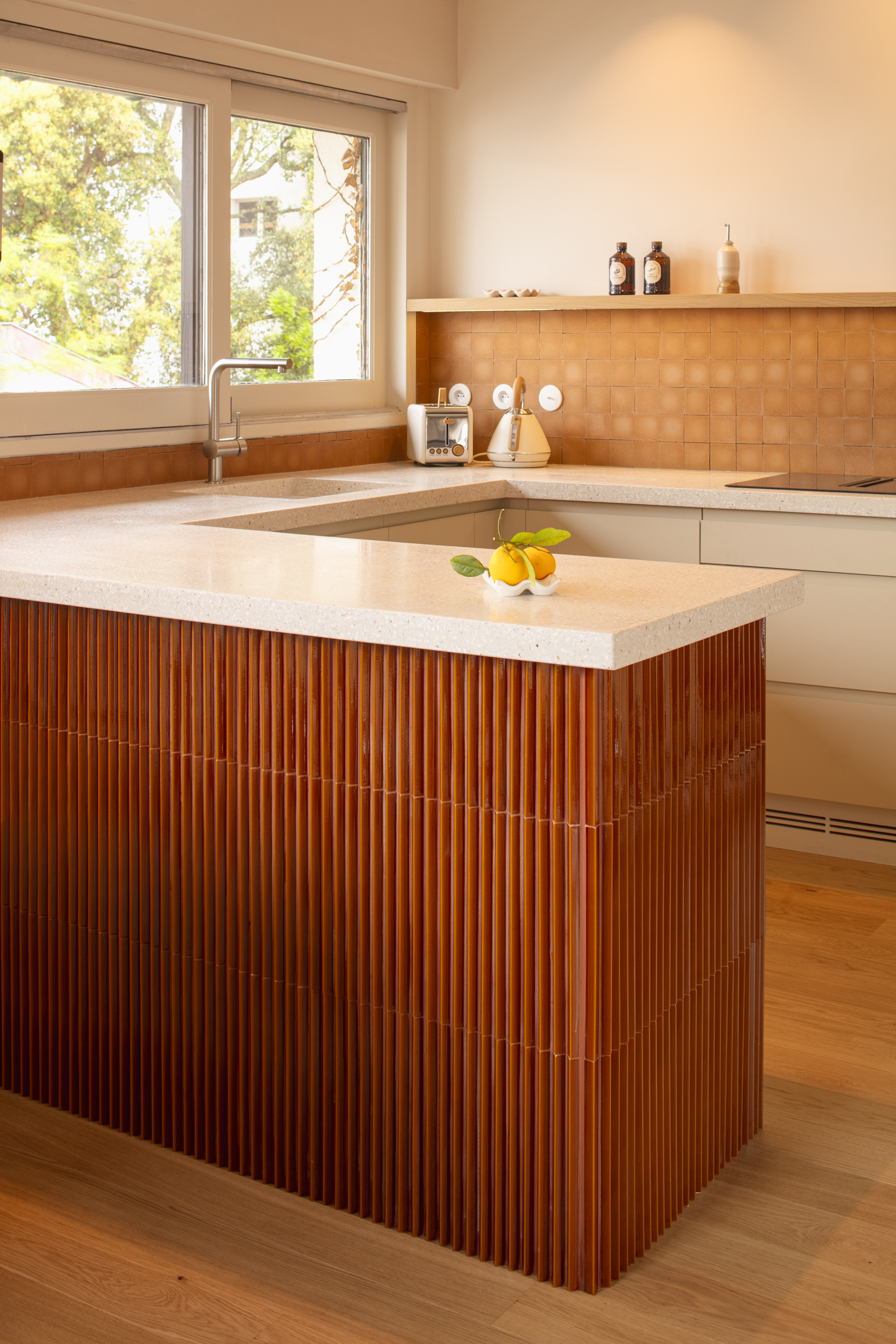 Studio Lougat Louis pasteur 4